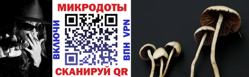 Галлюциногенные грибы мухоморы  Жирновск 